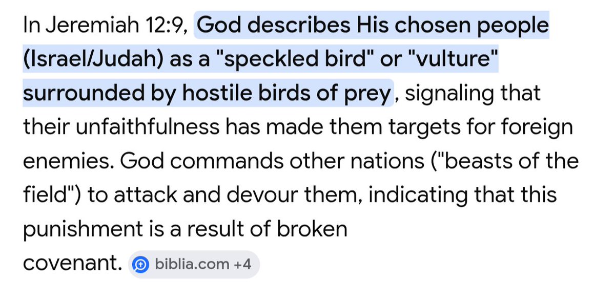 Spontaneousity tweet media