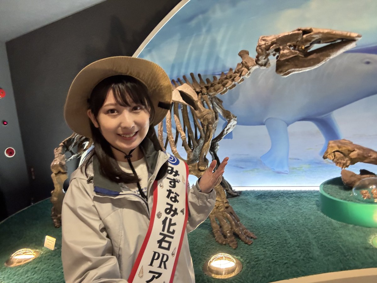 まゆみんラボ@化石ハンター tweet media