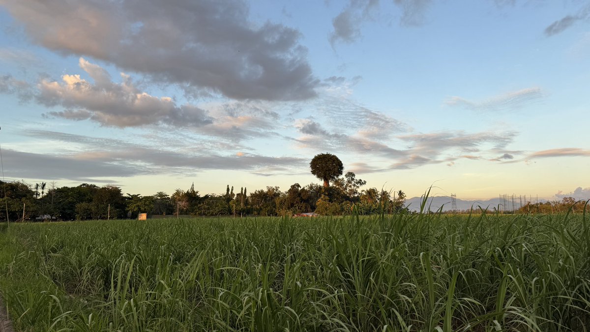 Yiğit Ali DEMİR tweet media