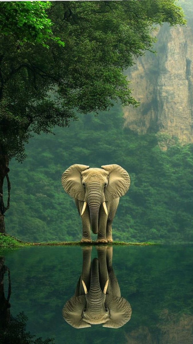 Beauty of Nature 🥀 tweet media