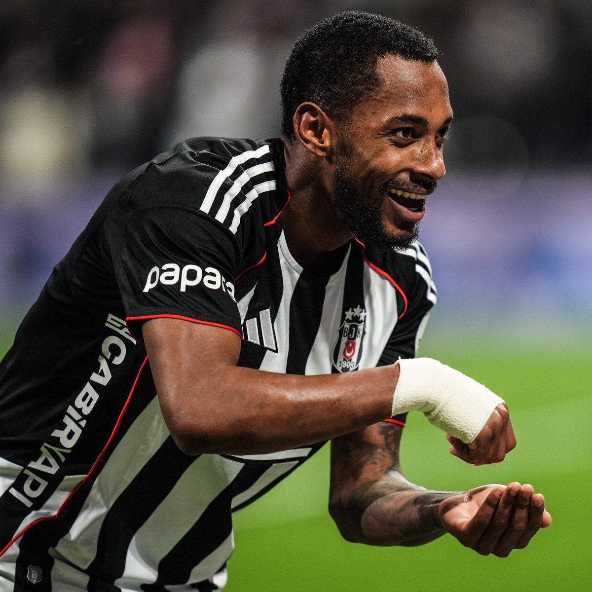 Ağaçlı Yol tweet media