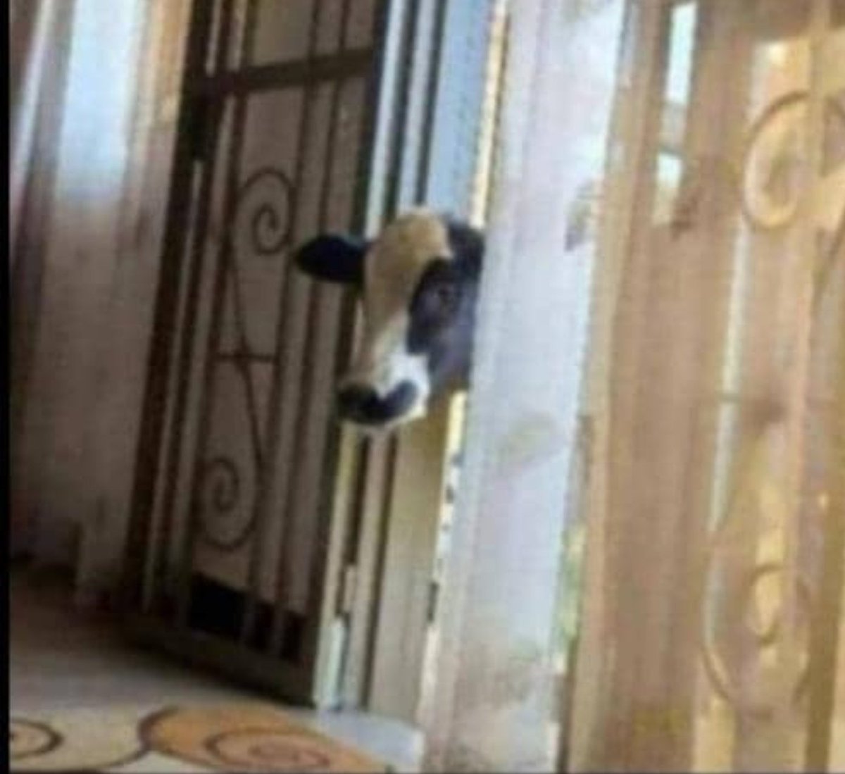 Pastor_web3 tweet media