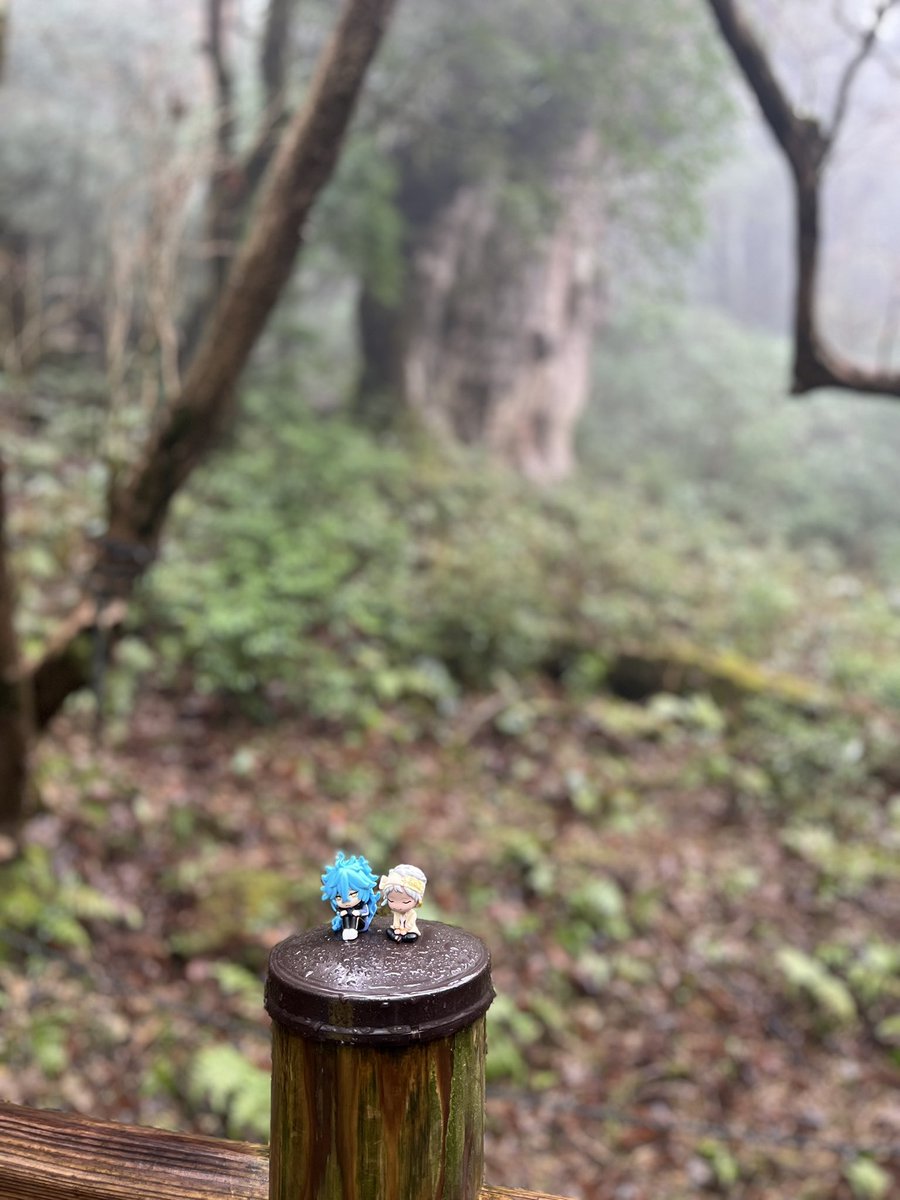 N🌥️🦦 tweet media