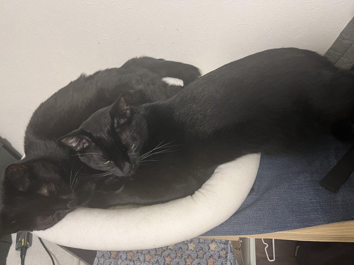 Uk-P.U.N.K Ground☃ tweet media