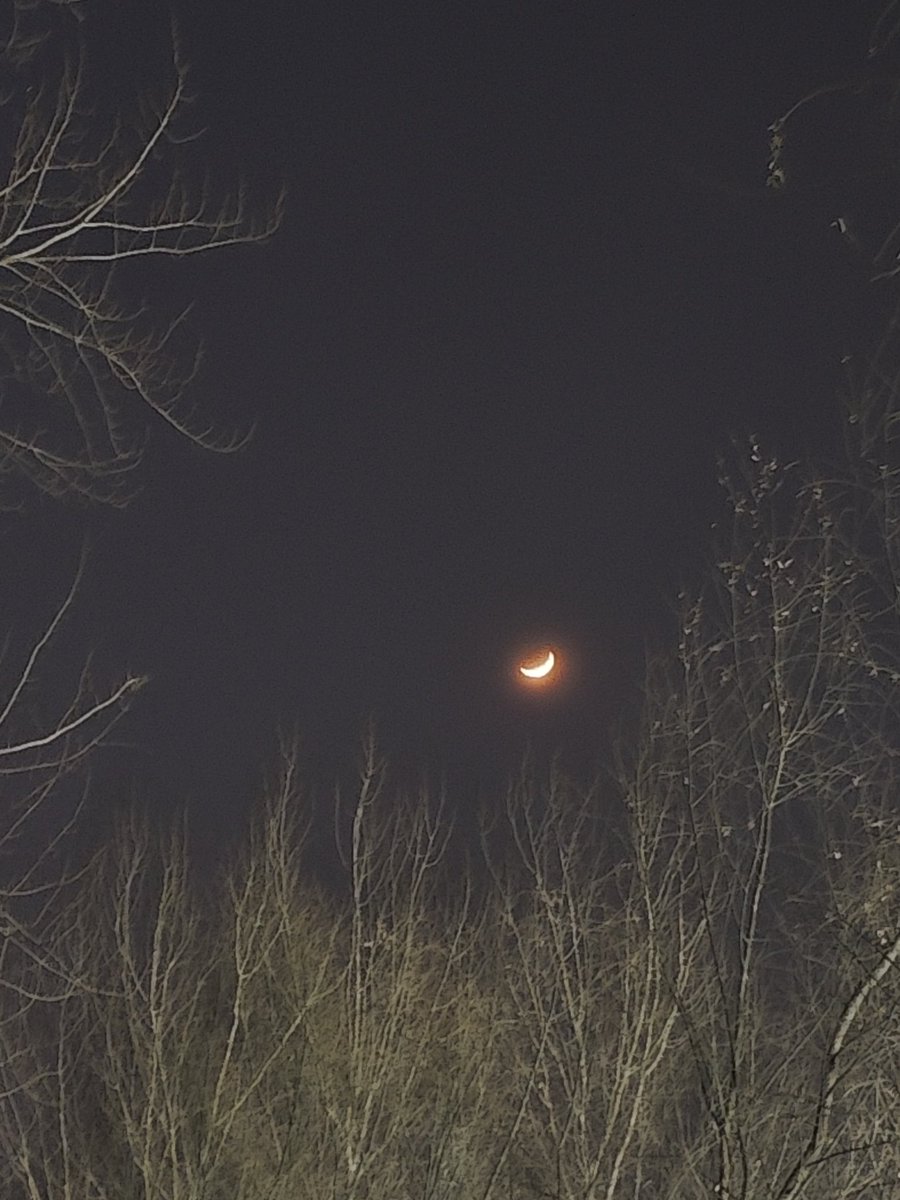 DoriCh4n tweet media