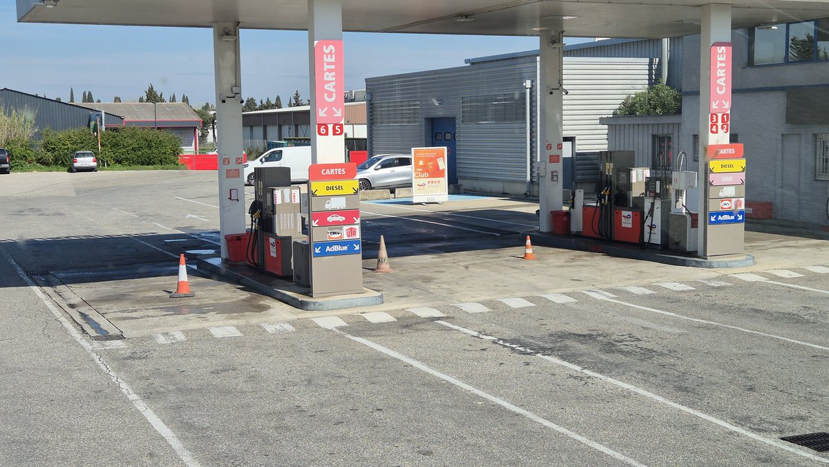 Tom d'Avignon tweet media