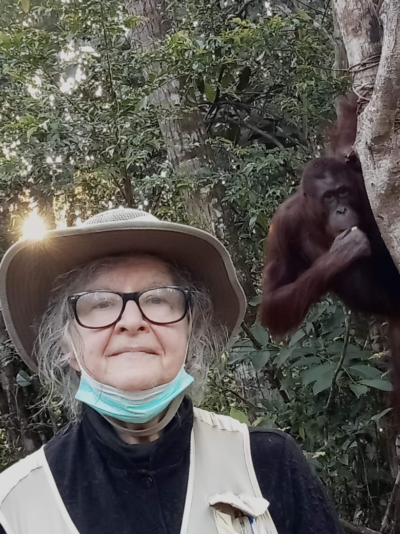 Pedro Pozas Terrados tweet media