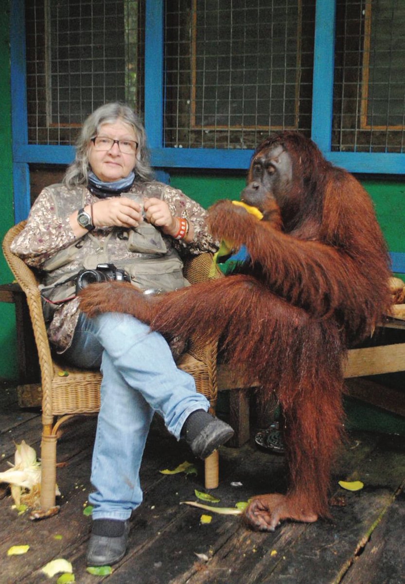 Pedro Pozas Terrados tweet media