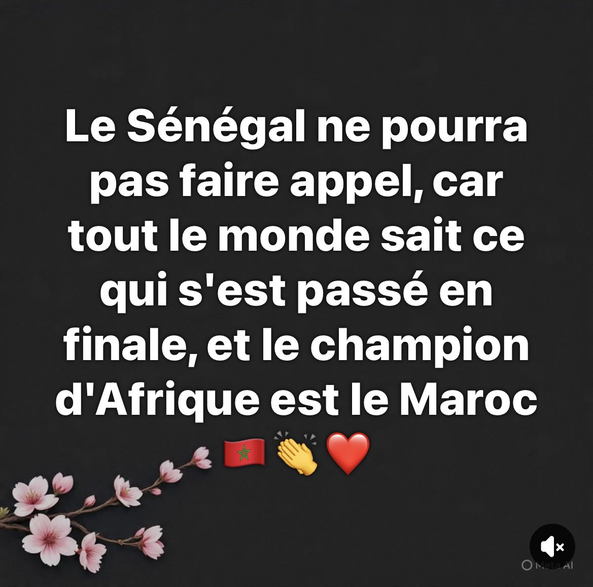 Ayman LOUKILI tweet media