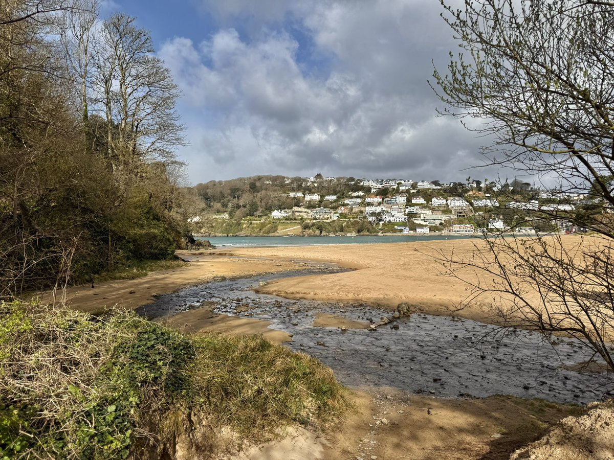 shiner_sam tweet media