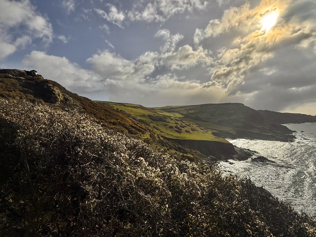 shiner_sam tweet media