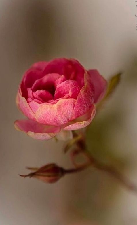 K r z y s z t o f K r z y s z t o f tweet media