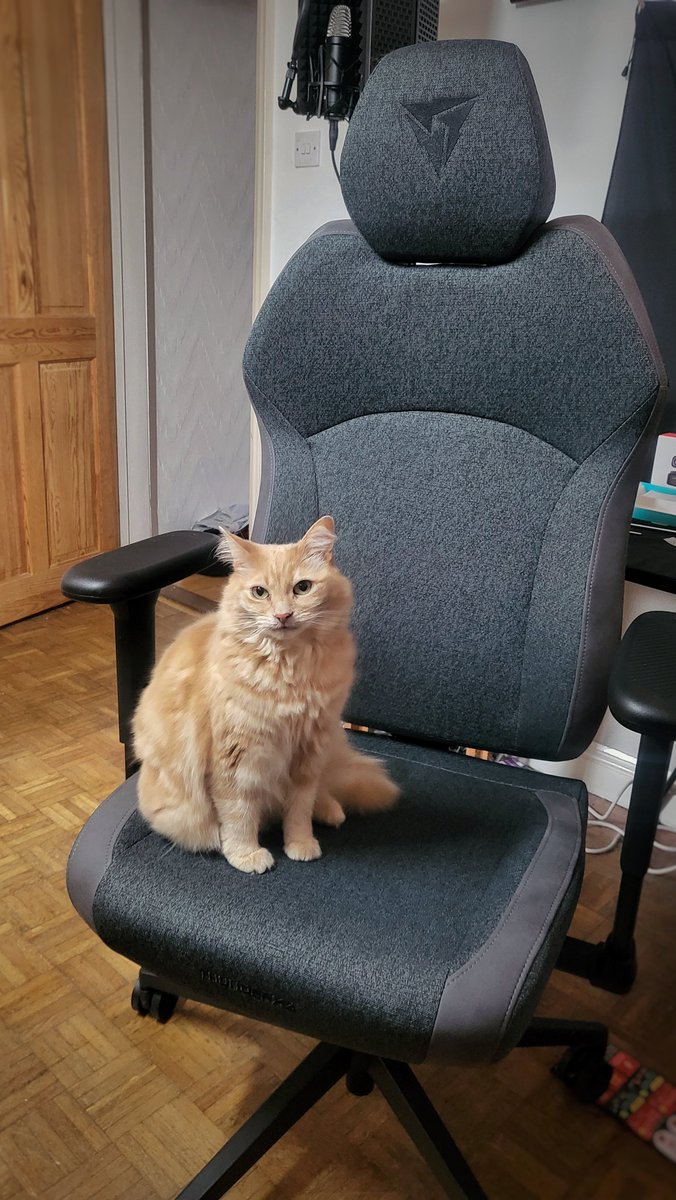 Brophers tweet media