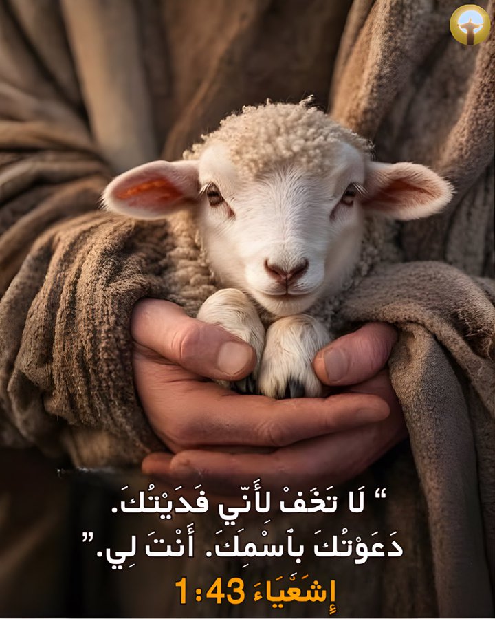 زكريا استاورو  Zakaria Estawro tweet media