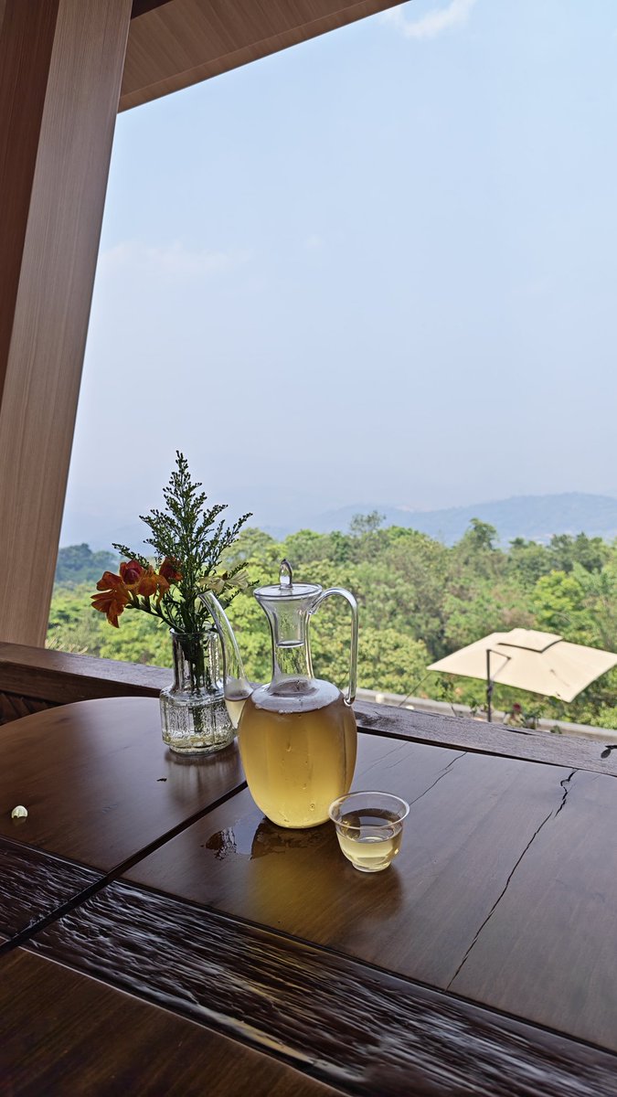 泽漆半夏 tweet media