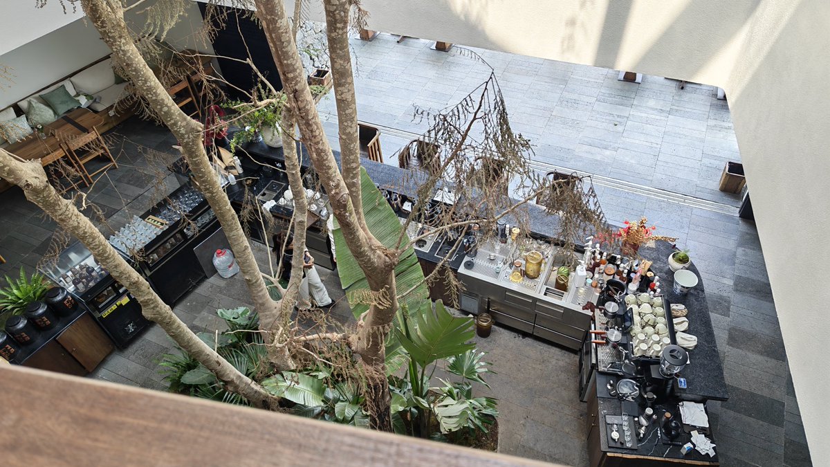 泽漆半夏 tweet media