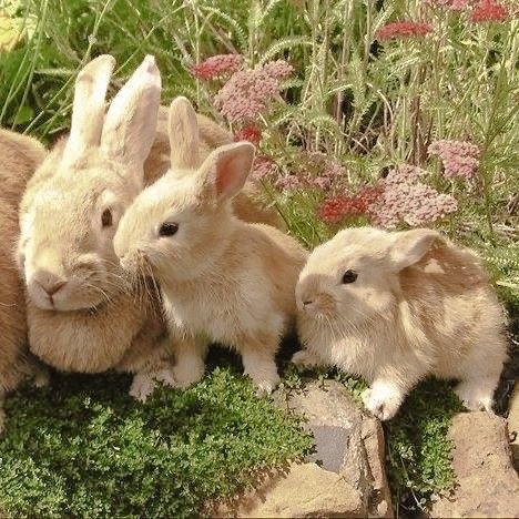 Hi, my Princess ♥︎ tweet media