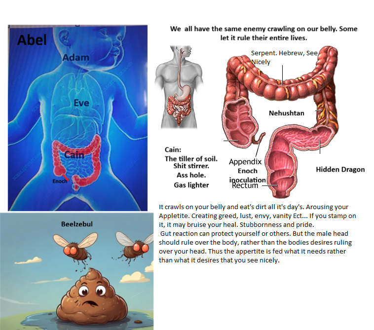 SonOfMan tweet media