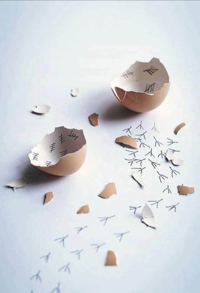 Louis Alberto tweet media