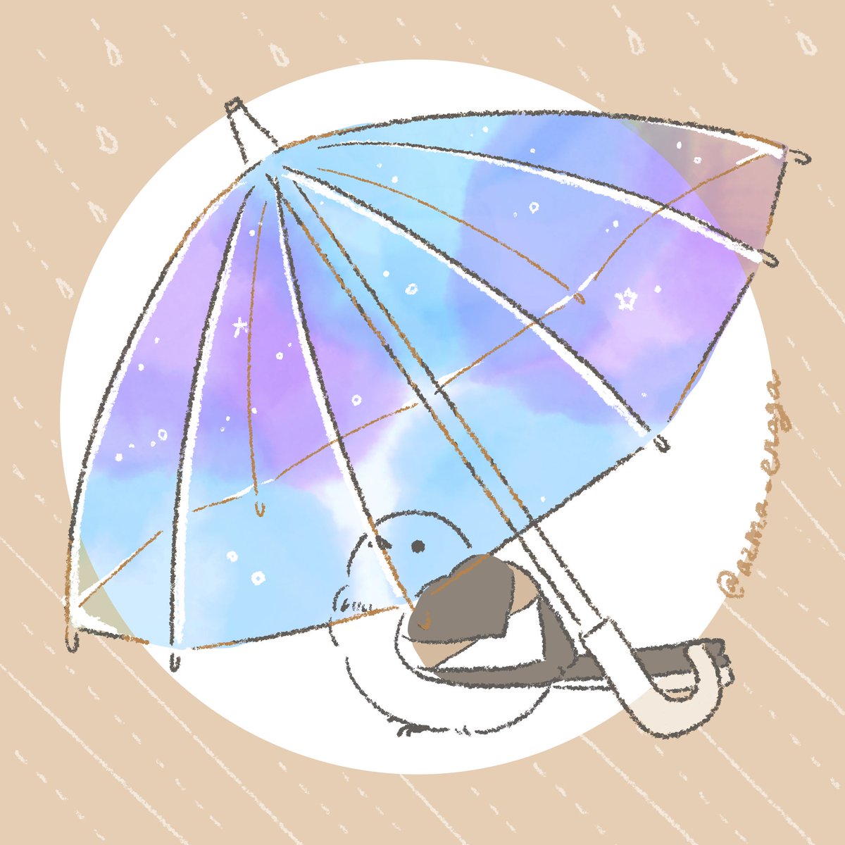 雨が上がったら、もう春なのかな☔🌸
