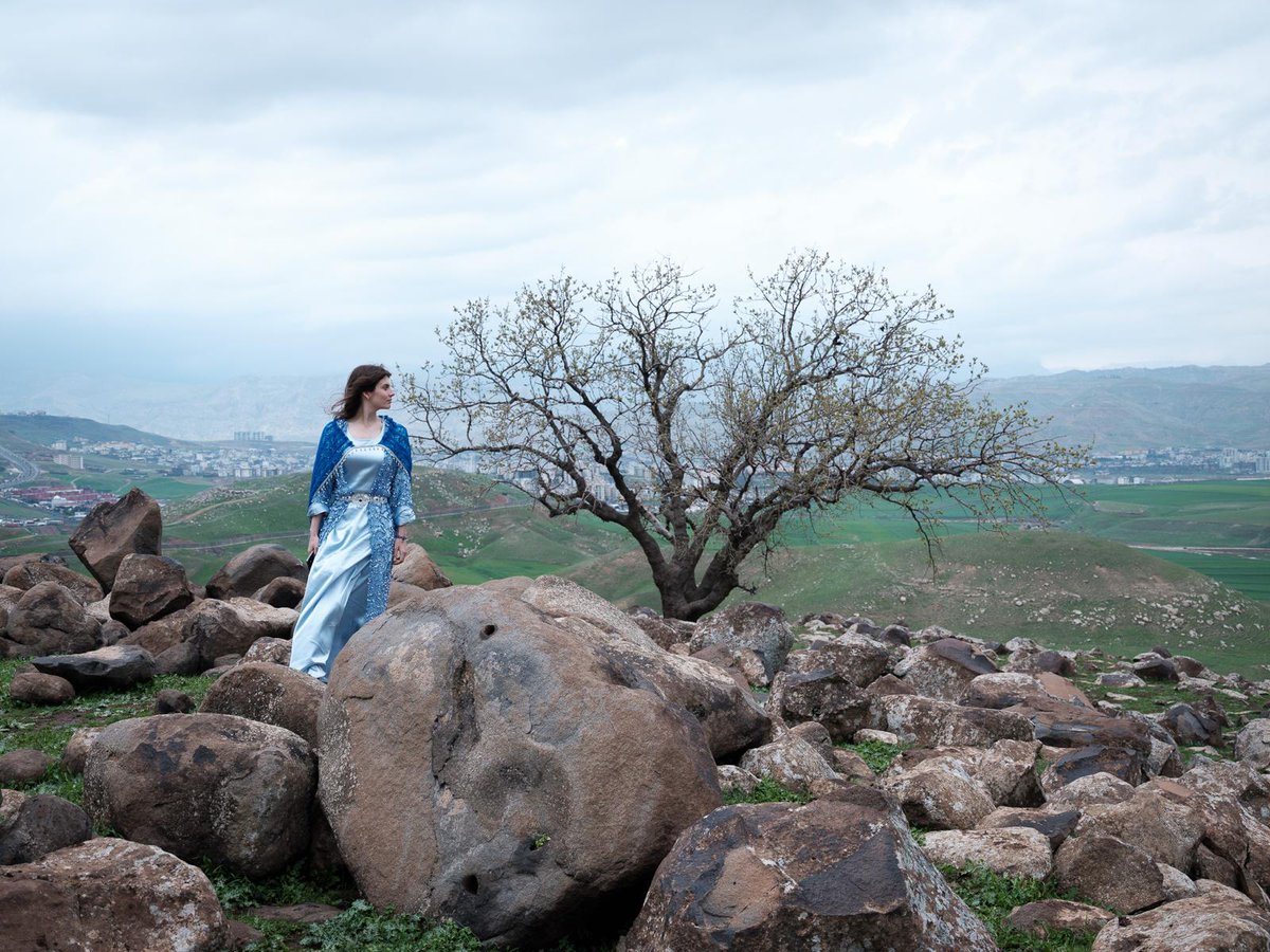 Meghan Bodette tweet media