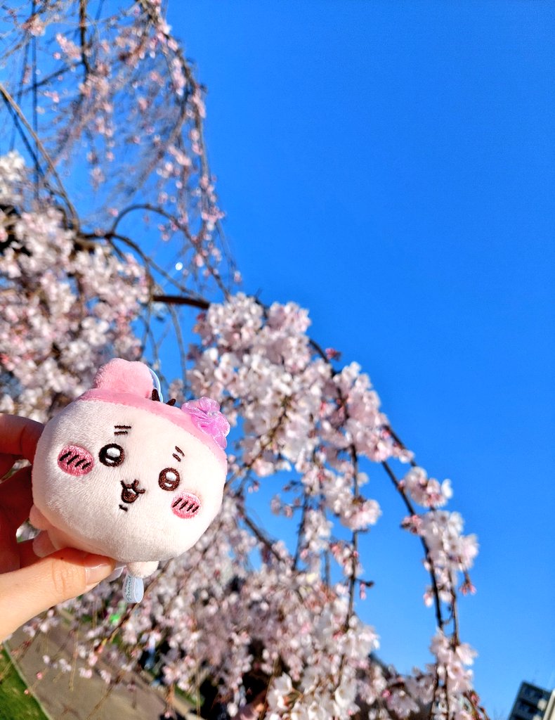 れおみ tweet media