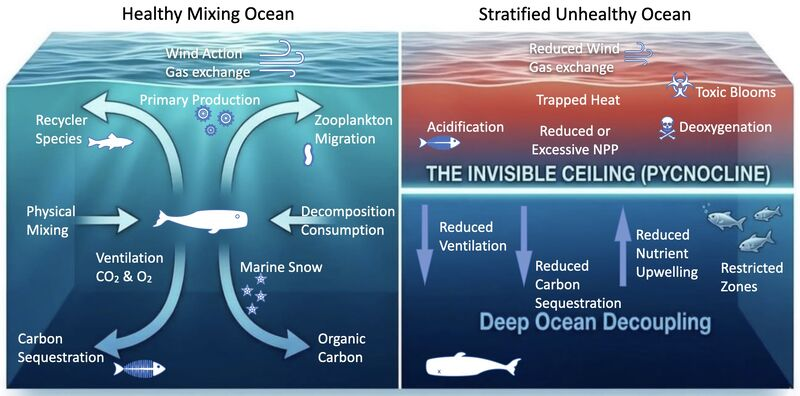 Thomas Reis tweet media