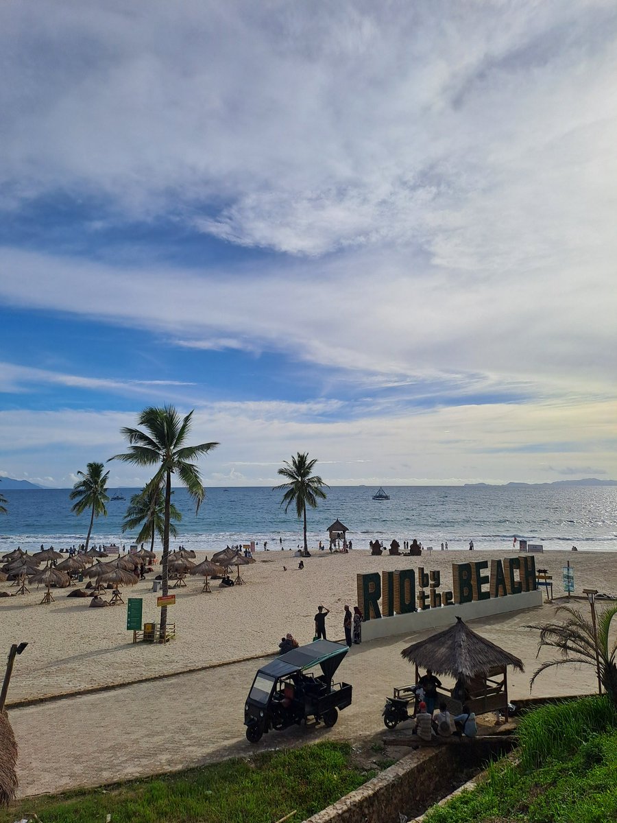 accioo 🐝 tweet media