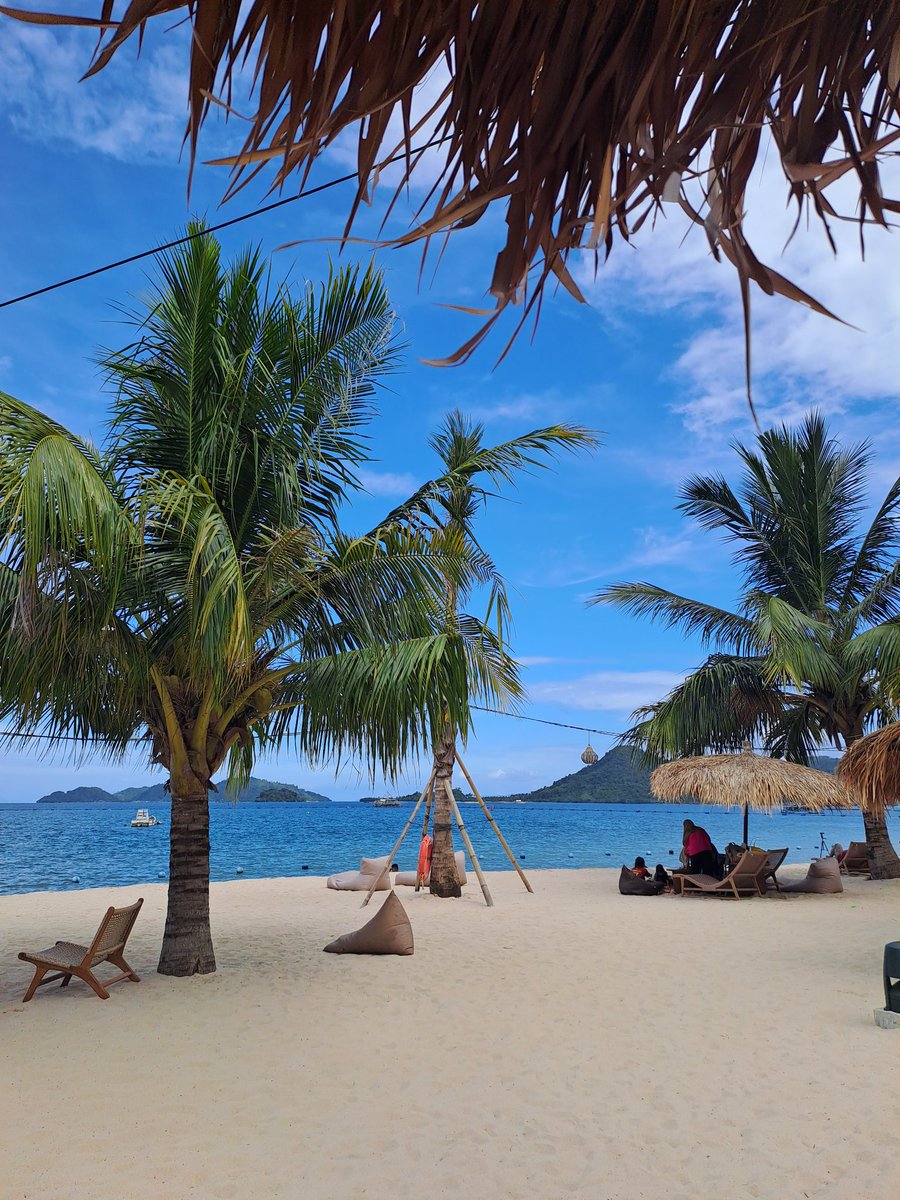 accioo 🐝 tweet media