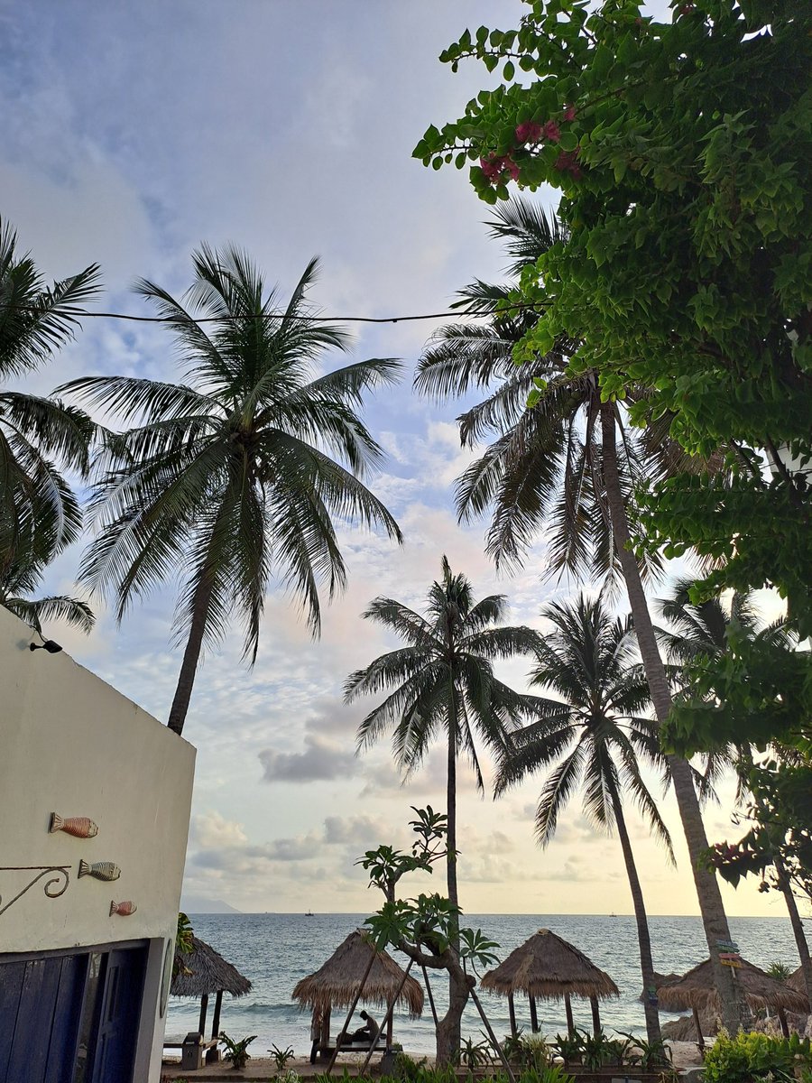 accioo 🐝 tweet media