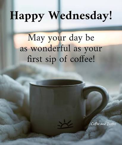 Matthew Lubbeck tweet media