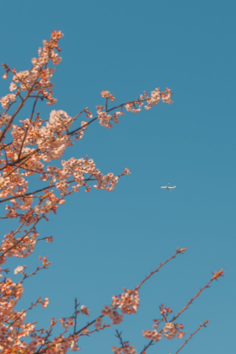 🕊 𓂃𓈒 𓂂𓏸 tweet media