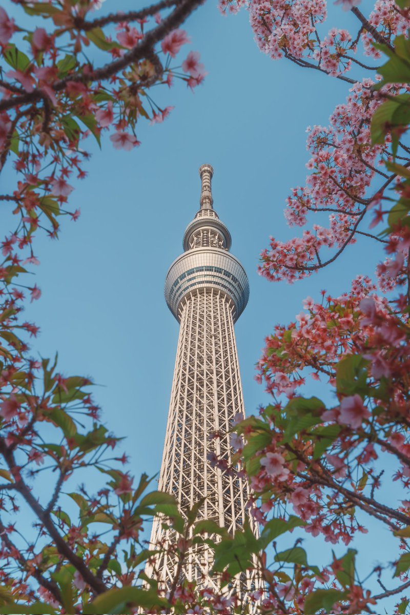 🕊 𓂃𓈒 𓂂𓏸 tweet media