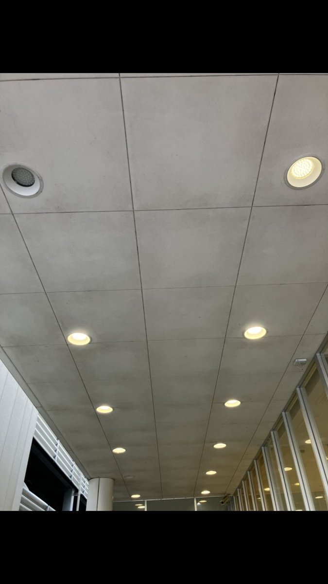 🍓店長のり 時々エリア長【非公式】 tweet media