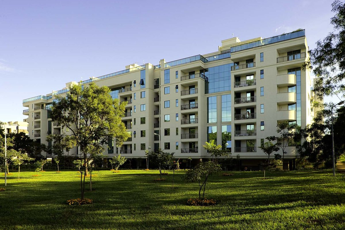 matheus carvalho tweet media