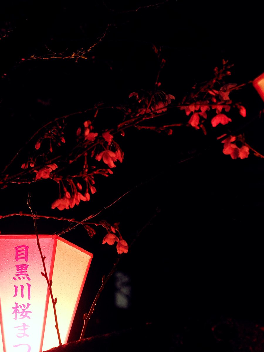 take@イベント参加メインで活動します。多忙のためスタジオのお誘いはお受けしていません。 tweet media