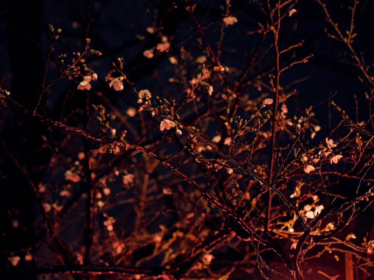 take@イベント参加メインで活動します。多忙のためスタジオのお誘いはお受けしていません。 tweet media