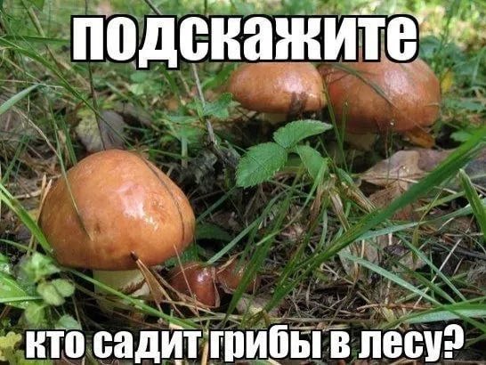 Сергей tweet media