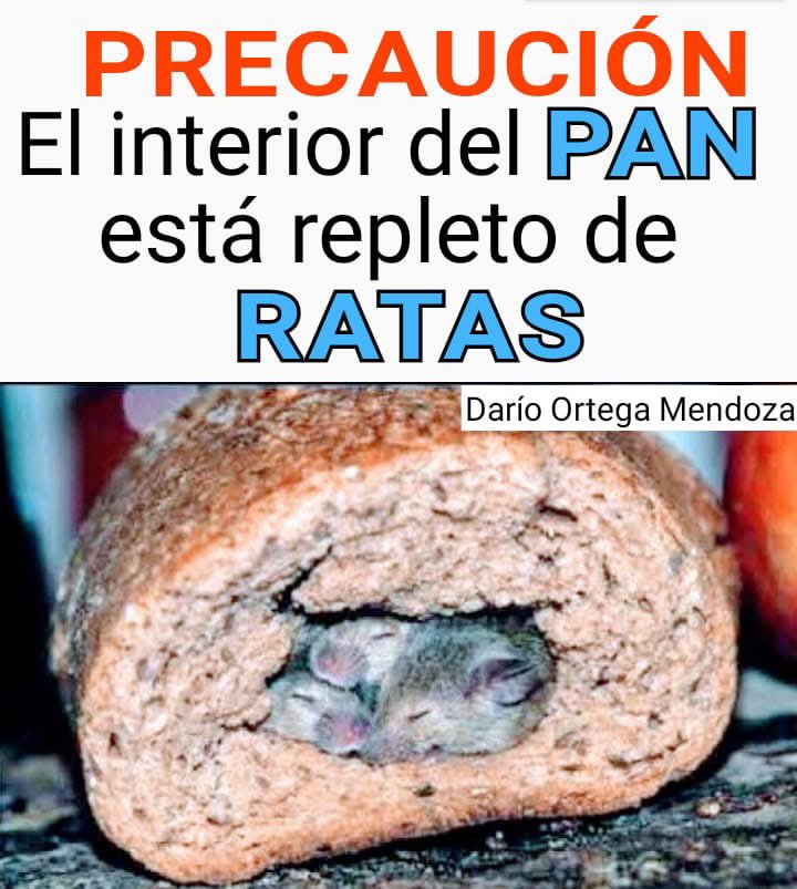 Ric Rock tweet media