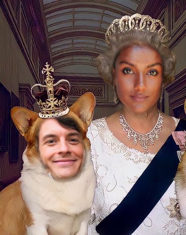 𝐆𝐑𝐄𝐆. tweet media