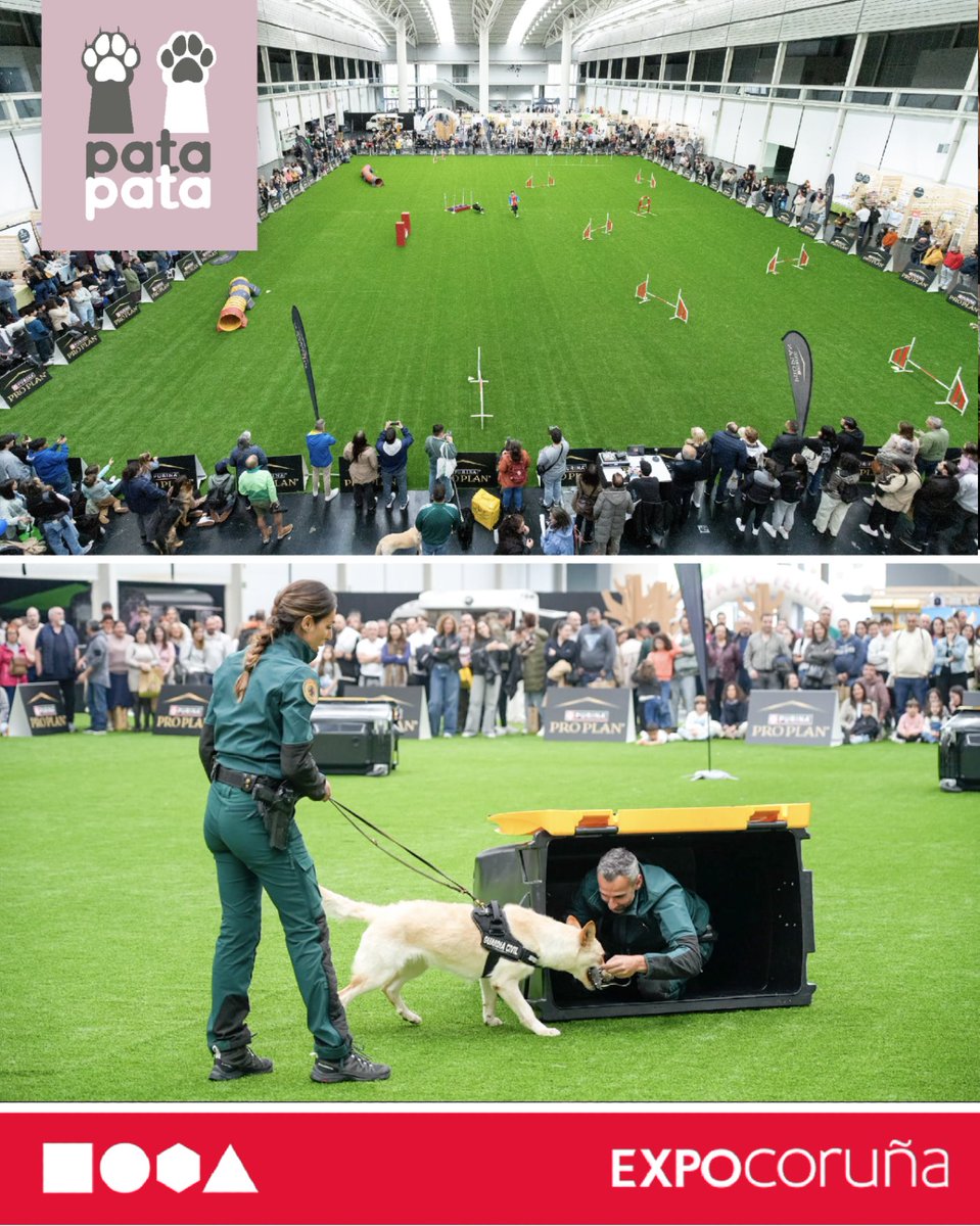 EXPOCoruña tweet media