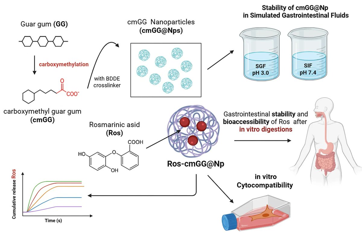 ColloidsMDPI's tweet image. 🆕@ColloidsMDPI Publication: pH-Responsive Colloidal Guar Gum Nanoparticles for Rosmarinic Acid Delivery: Role of the Degree of Carboxymethylation
✍️by Özlem Erdal Altintaş and et. al.
🔗mdpi.com/3723048
#Colloids #Nanoparticles #DrugDelivery #PHResponsive #GuarGum