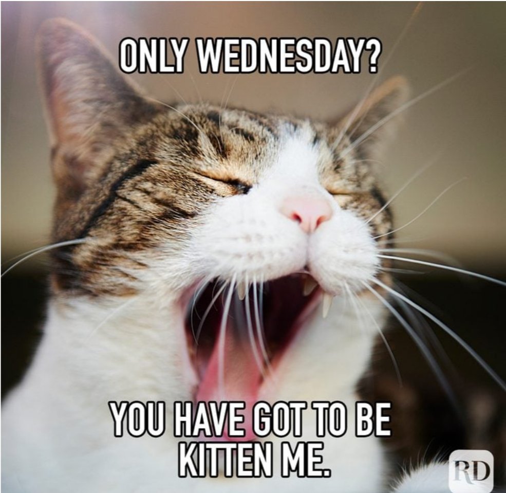 Jake@fire ❤🤍💙 tweet media