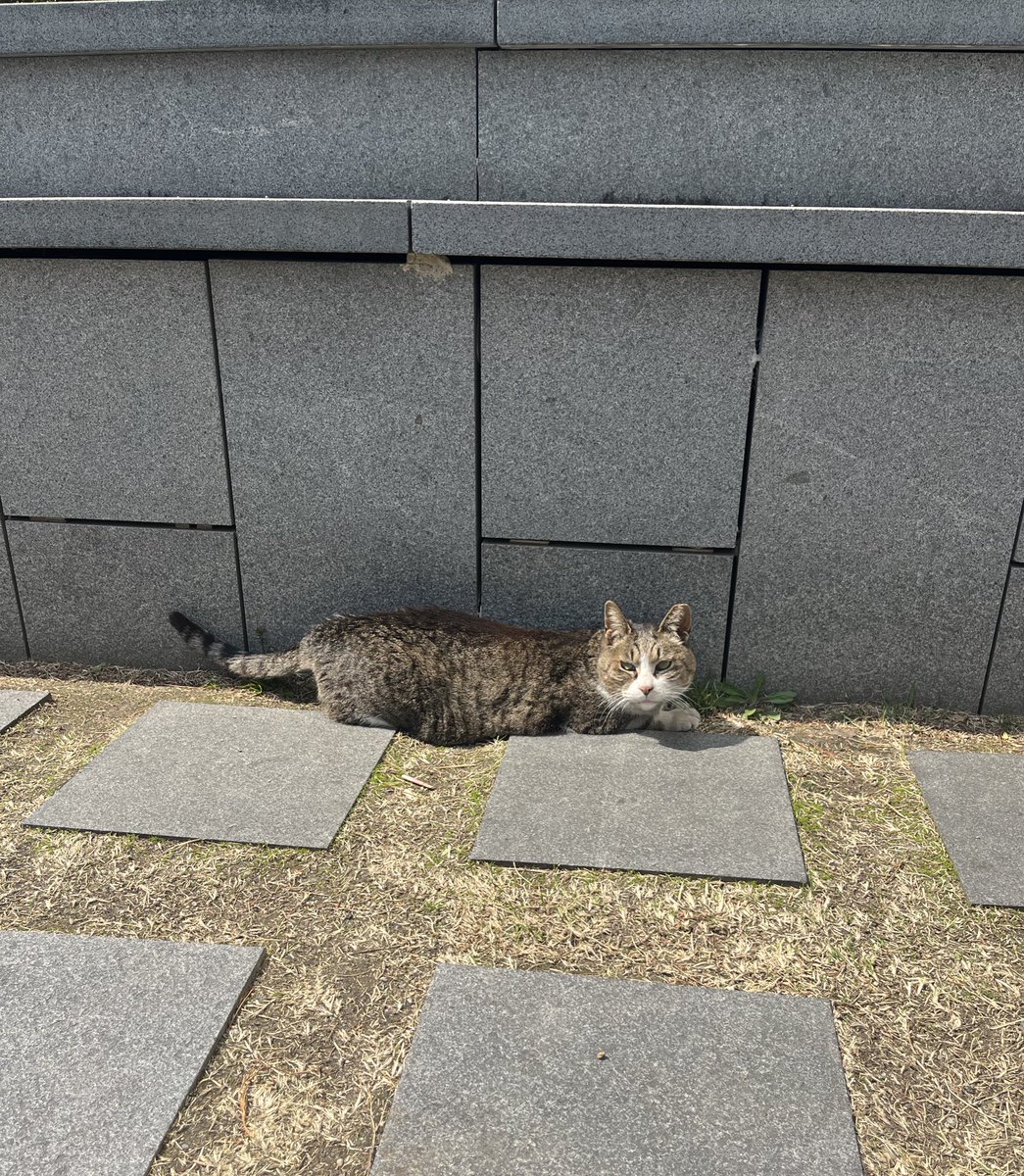 Lou Bading (루) tweet media