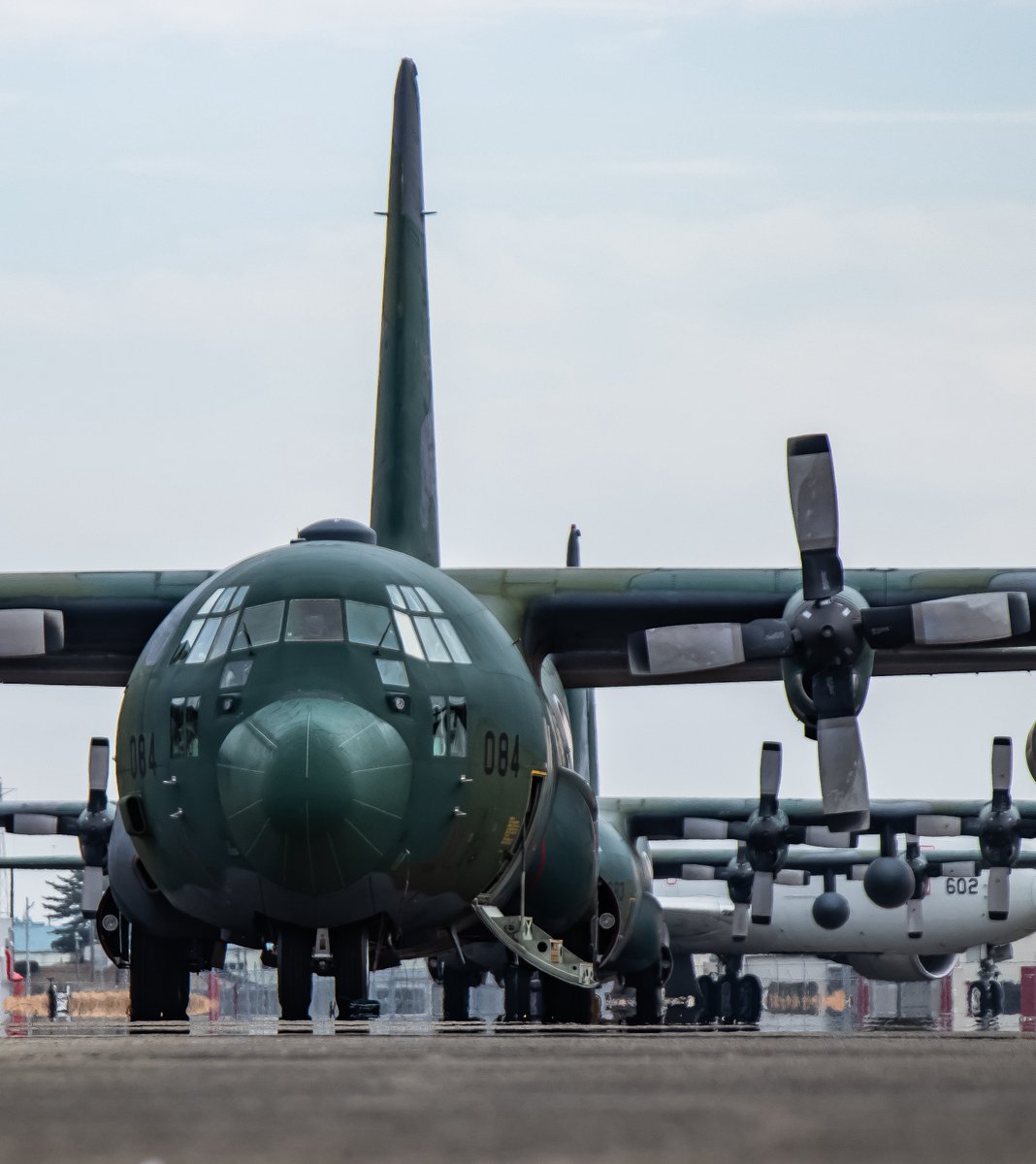 きょう tweet media