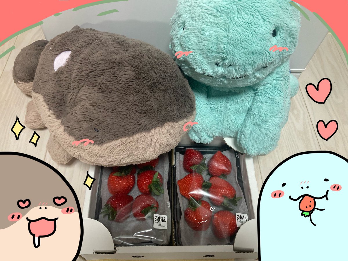 みと@だぬどぬ(´𐃷`) tweet media