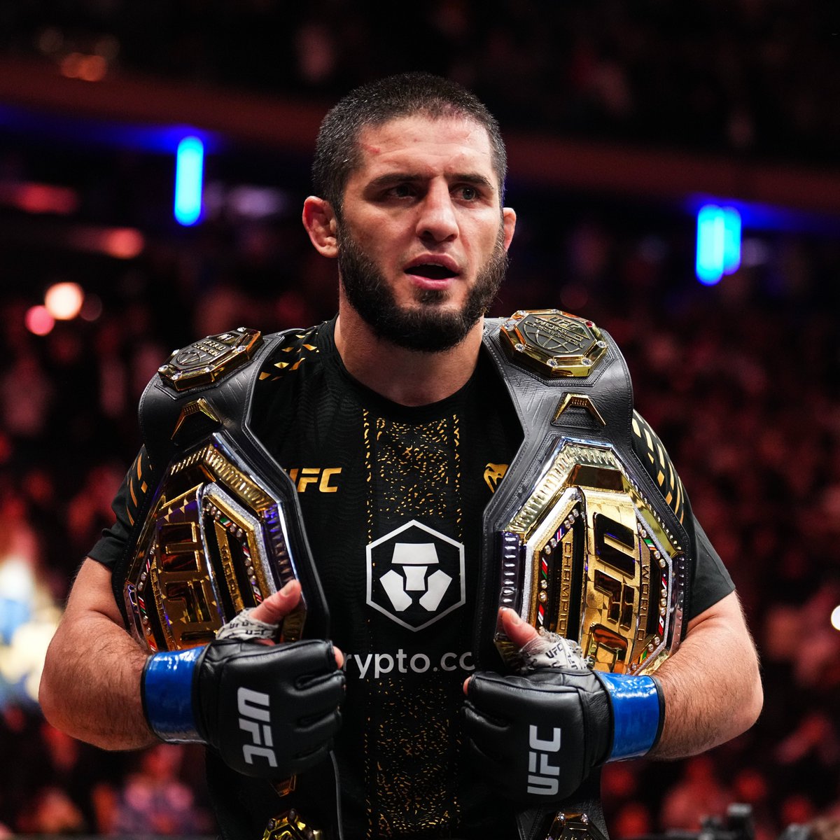 MMA Orbit tweet media