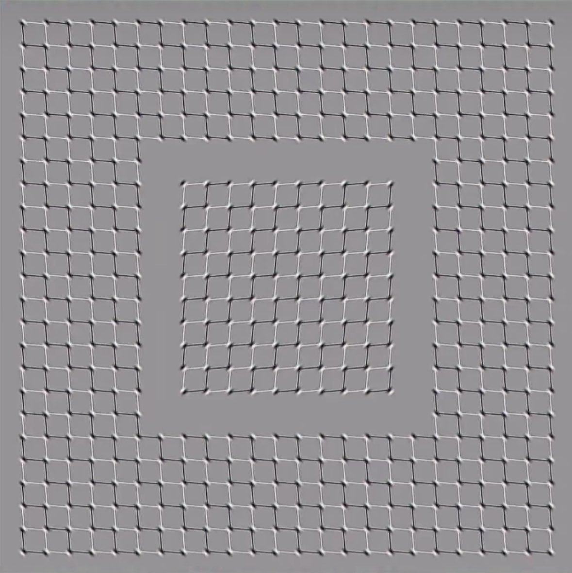 ArquitectoPoder🩵 tweet media