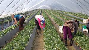 Juan Tortosa tweet media