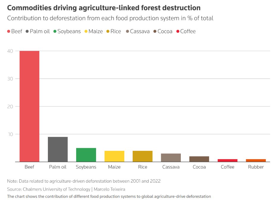 Helios E.M. tweet media